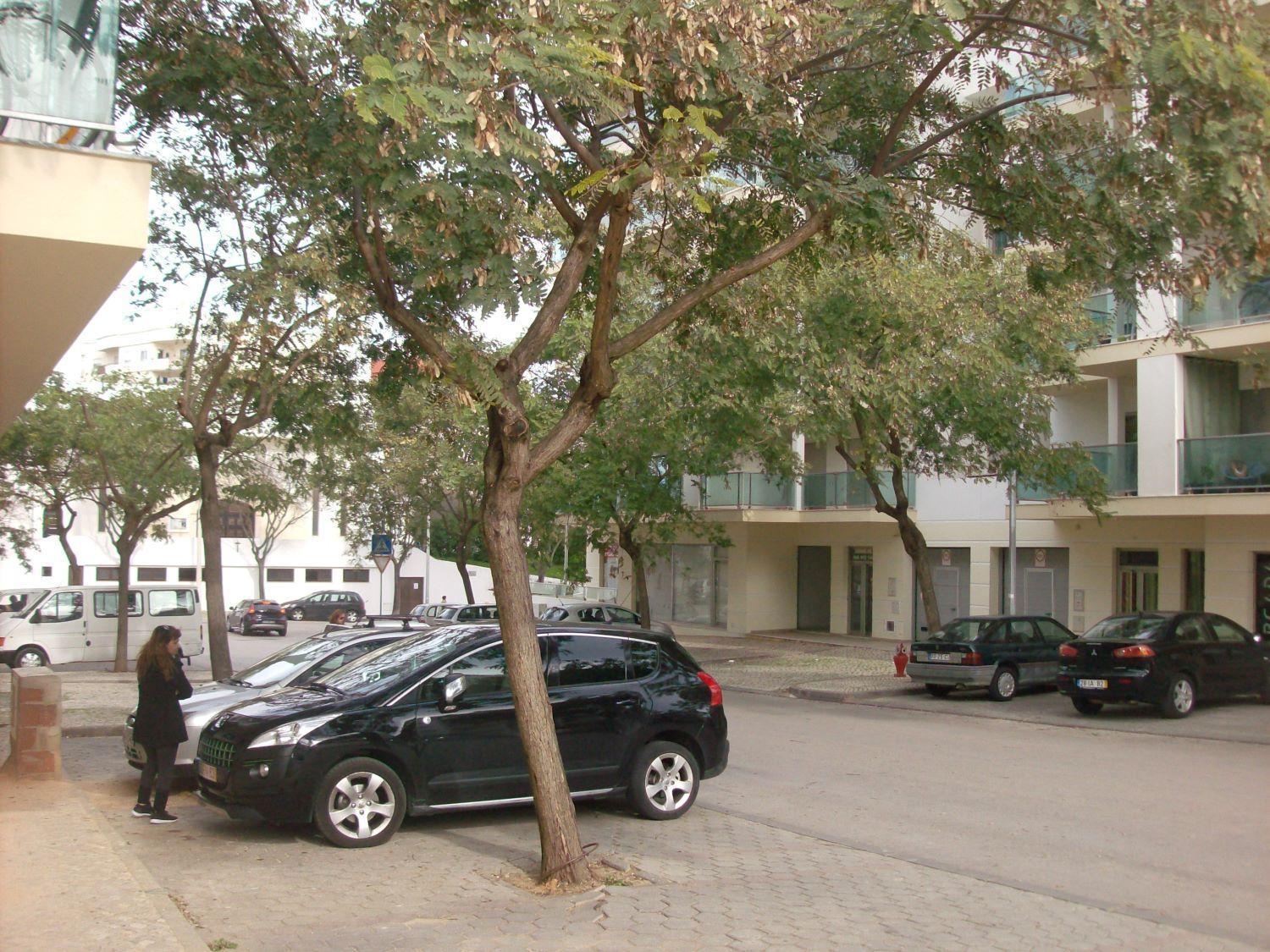 Appartement Pinheiro Portimao Bagian luar foto